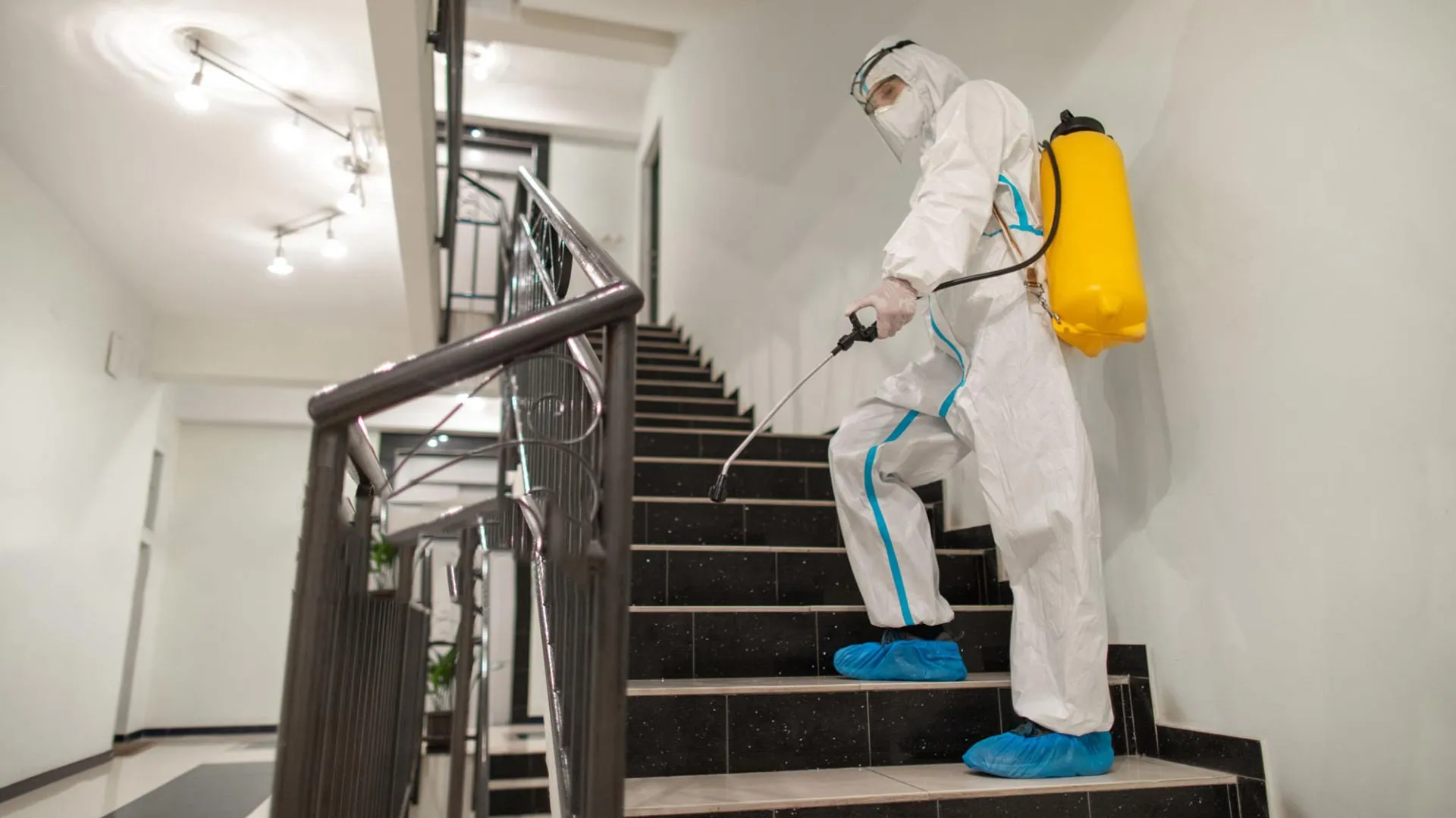 Pest control treatment in a residential interior