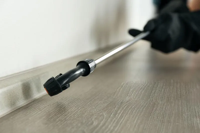 Targeted pest treatment along a home’s baseboard
